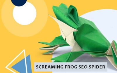 How To Use Screaming Frog SEO Spider – Your Companion for Website Audits