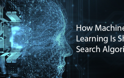 AI in SEO: How Machine Learning Is Shaping Search Algorithms