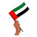 UAE flag