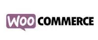 Woocommerce SEO
