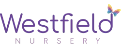 Westfield Nursery